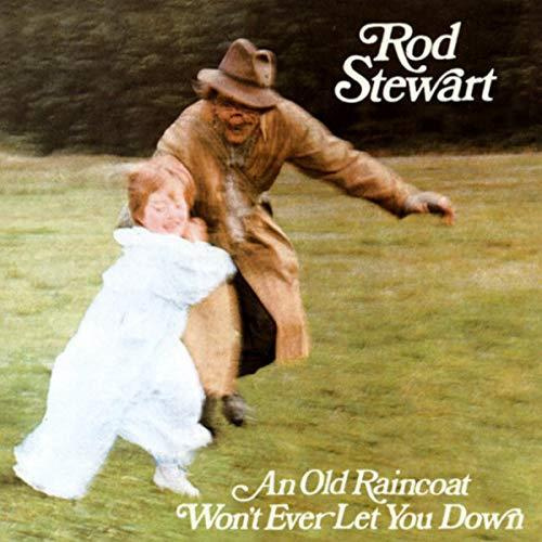 THE ROD STEWART ALBUM