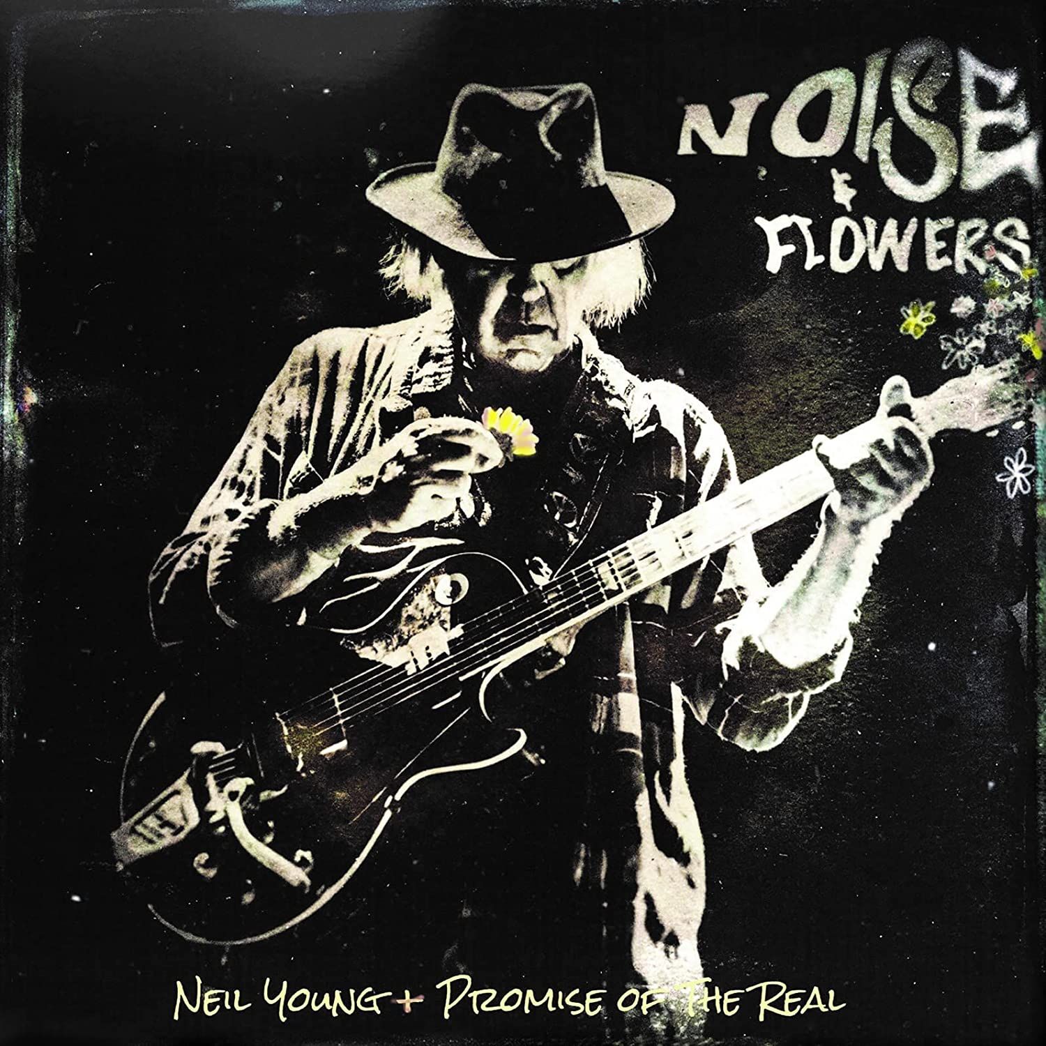 Noise And Flowers 2 Lp