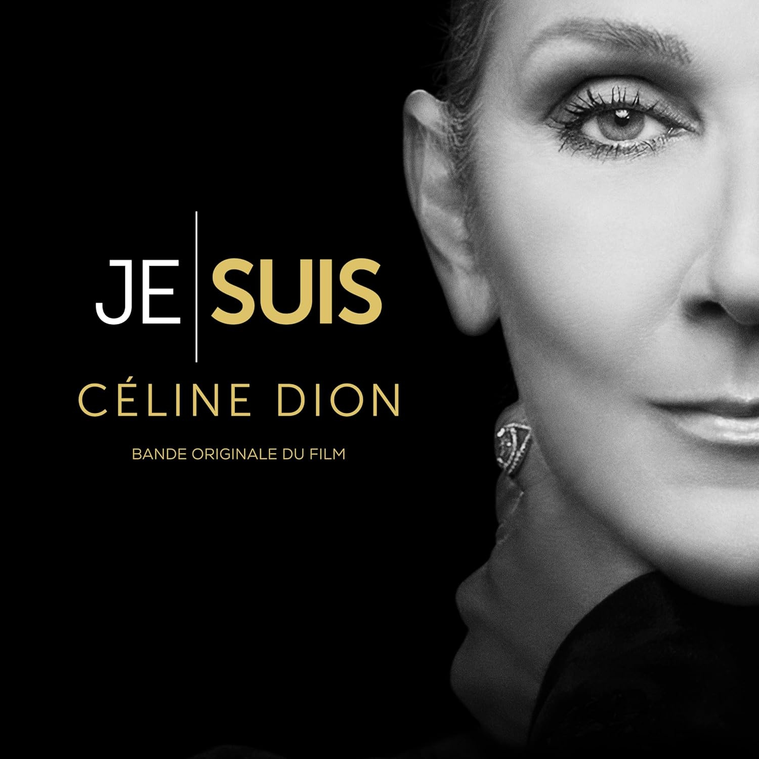 JE SUIS : CELINE DION (BANDE ORIGINALE D