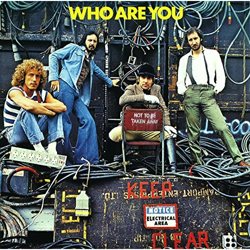 WHO ARE YOU (LP)
