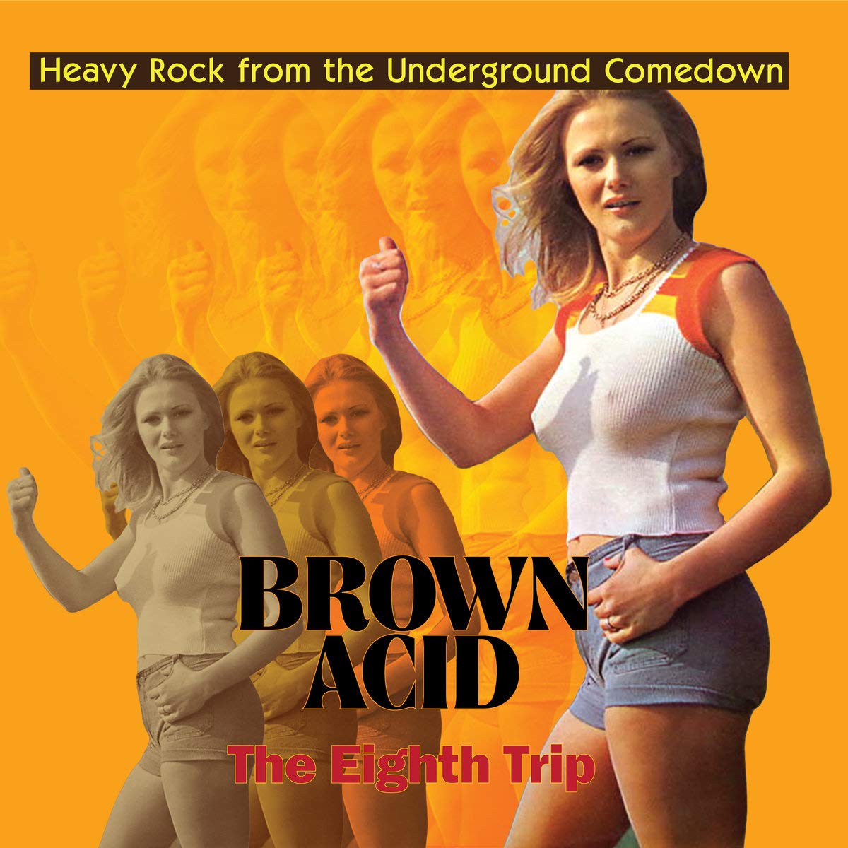 BROWN ACID - THE EIGHTHTRIP