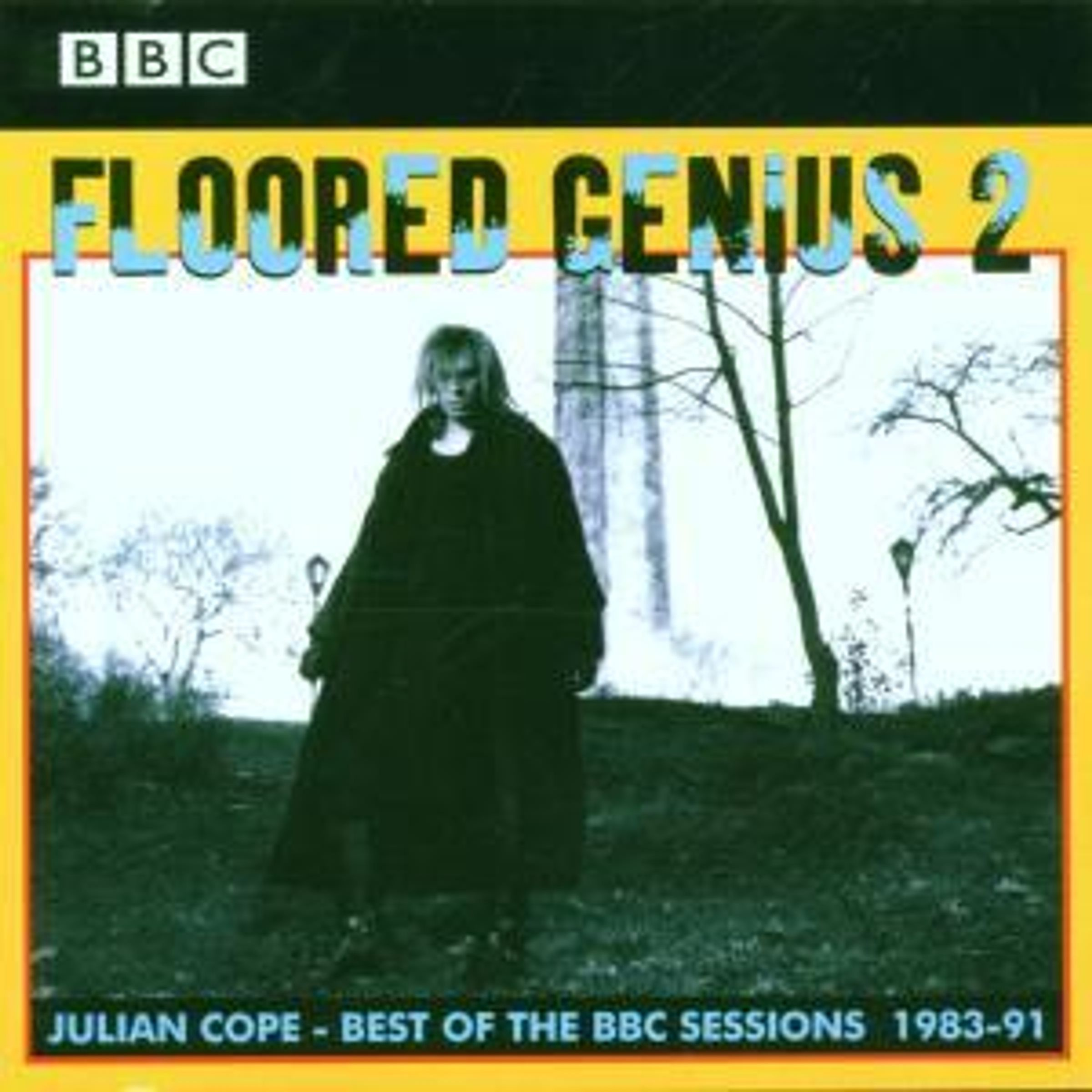 FLOORED GENIUS 2 - BEST OF THE BBC SESSIONS 1983-91