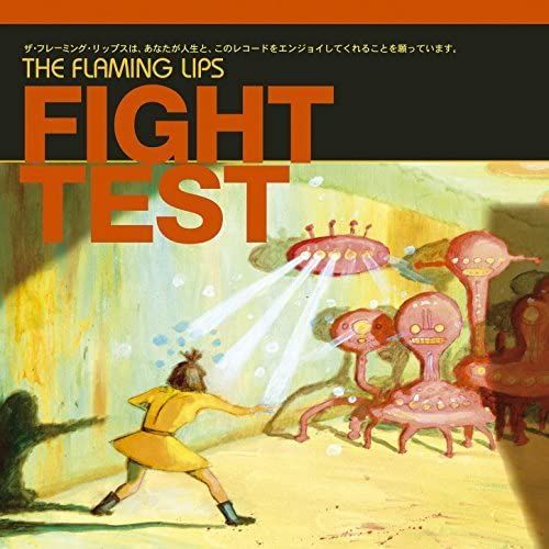 FIGHT TEST