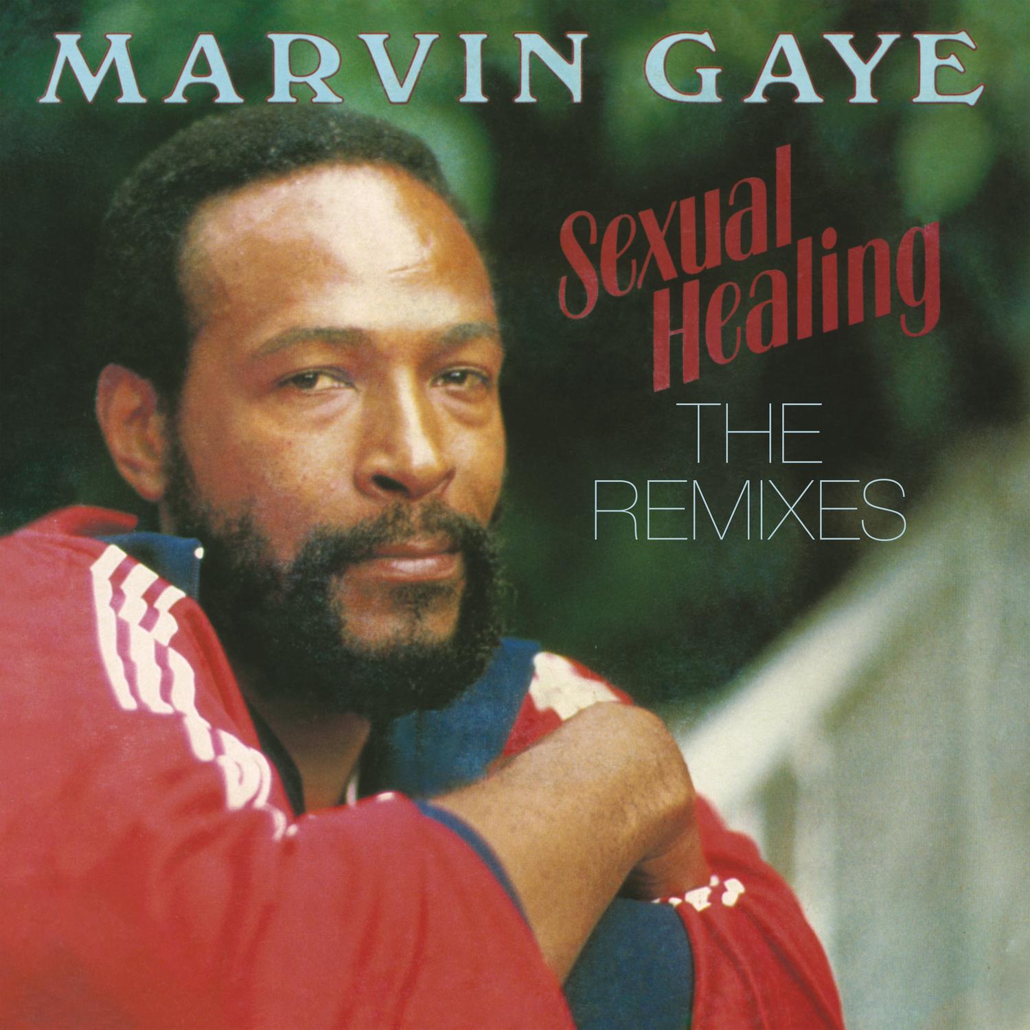 SEXUAL HEALING: THE REMIXES