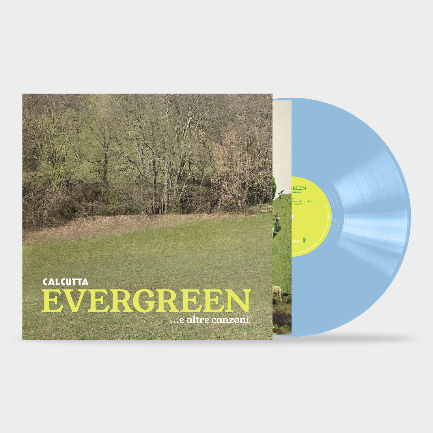 EVERGREEN... E ALTRE CANZONI (180GR COL.