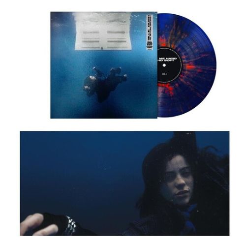 Hit Me Hard And Soft (D2C)