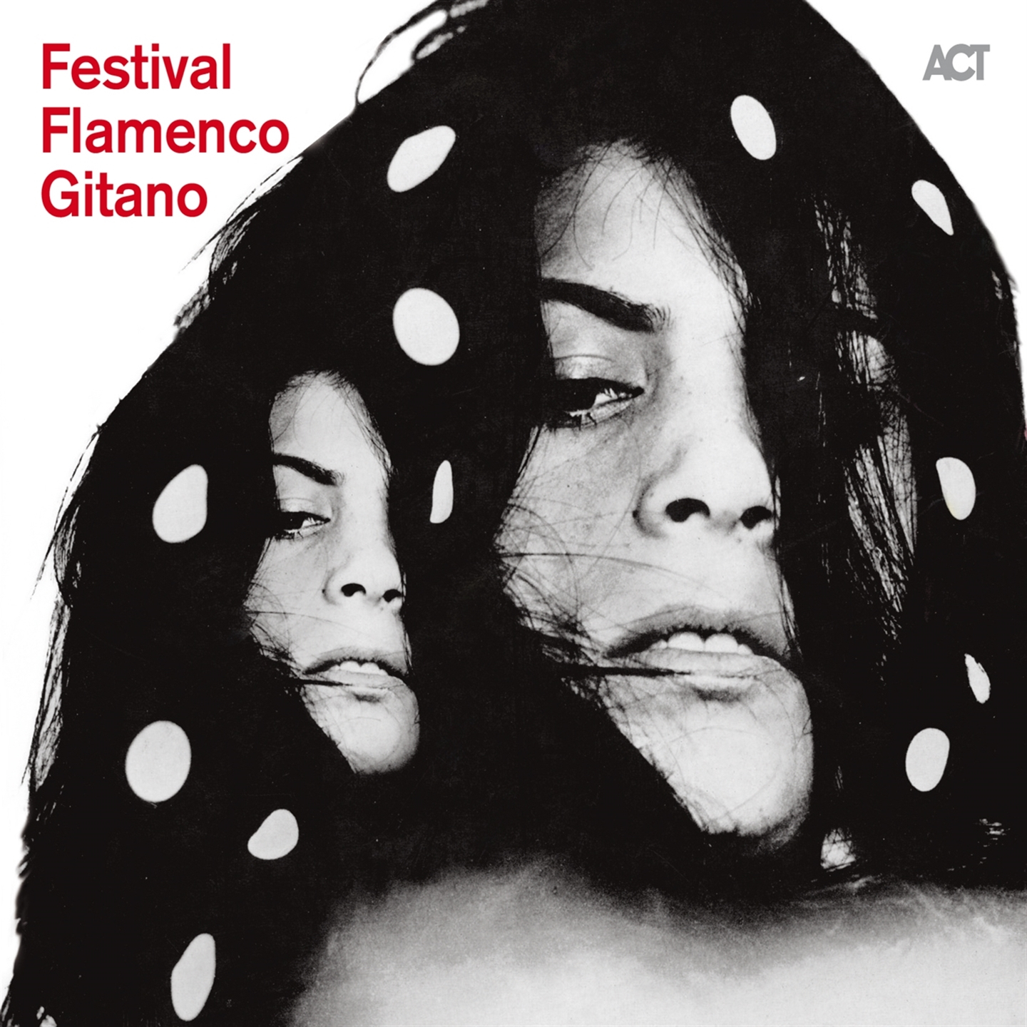 FESTIVAL FLAMENCO GITANO + DA CAPO