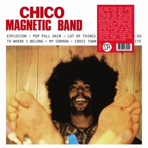 CHICO MAGNETIC BAND