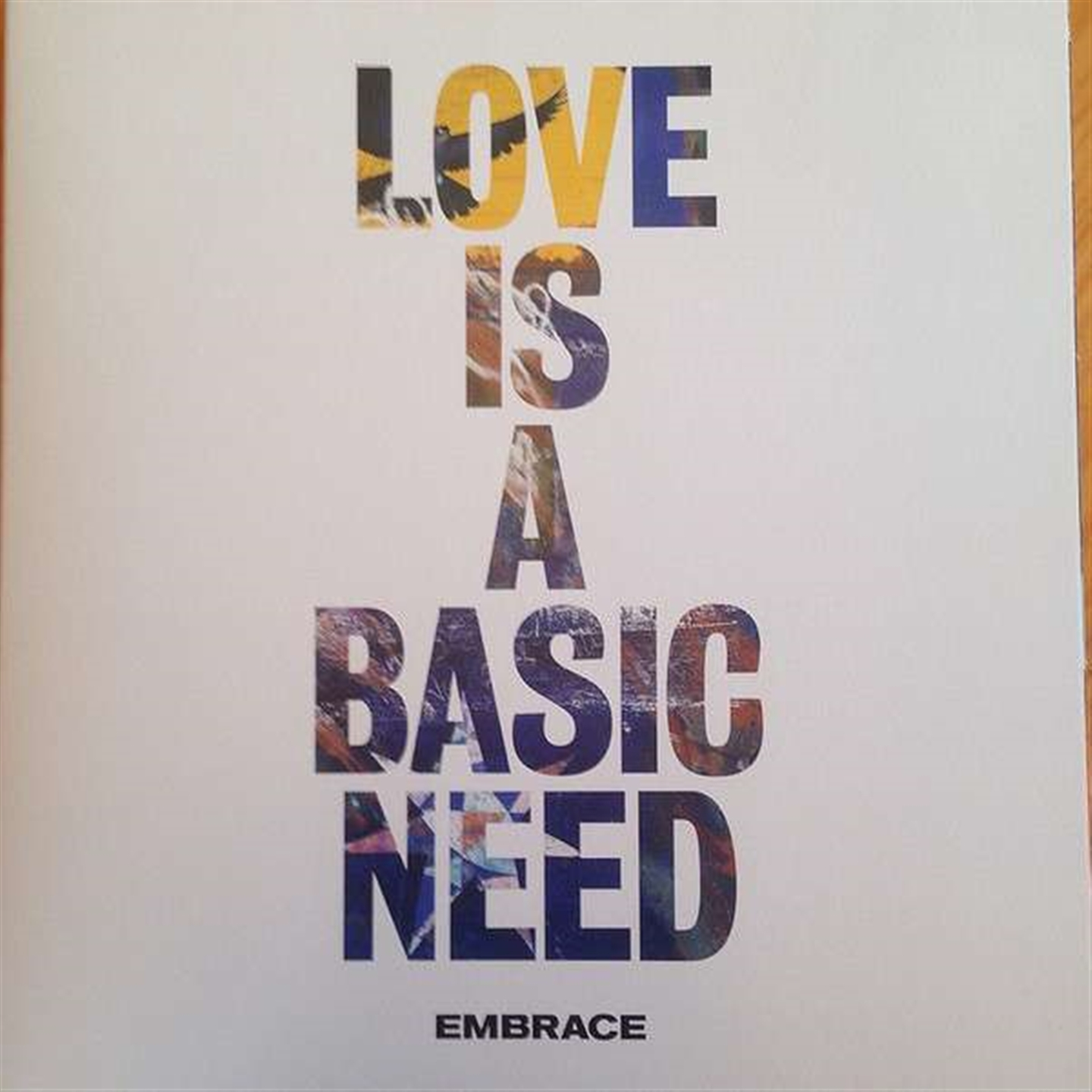 LOVE IS A BASIC NEED [LP]