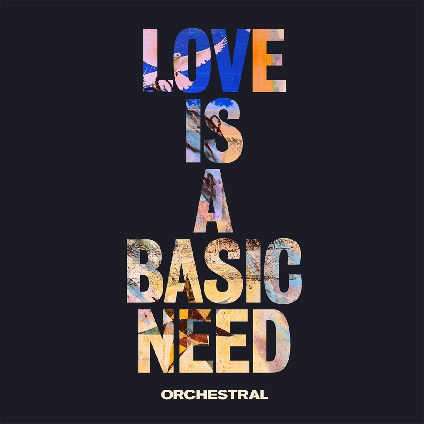 LOVE IS A BASIC NEED (ORCHESTRAL) [LP]