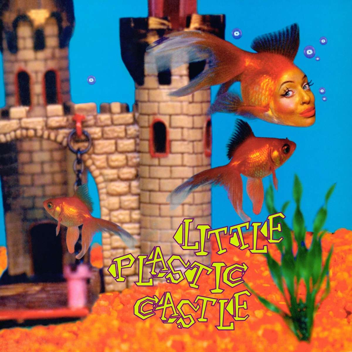 LITTLE PLASTIC CASTLE (25TH ANNIVERSARY)