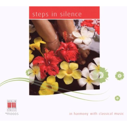 STEPS IN SILENCE