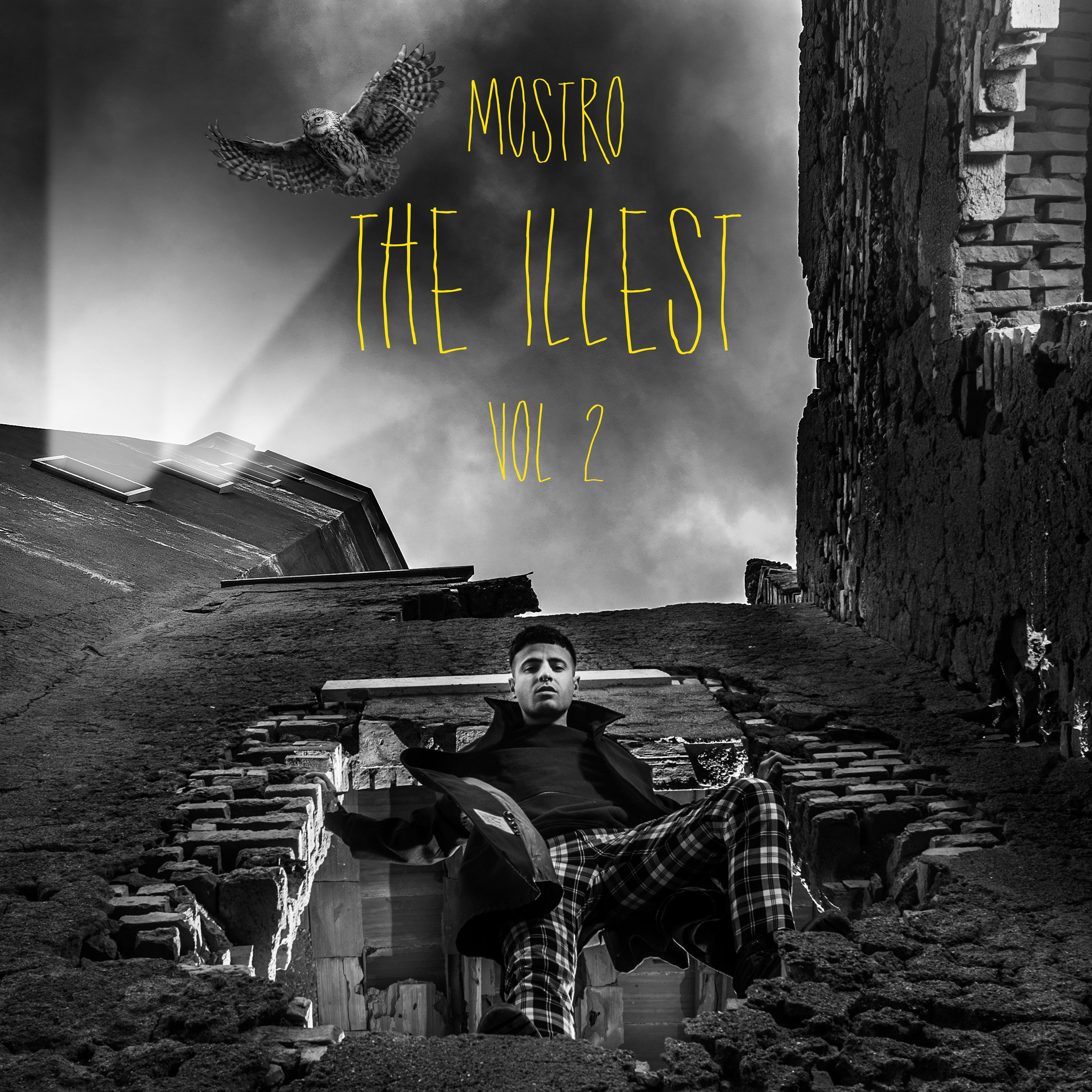THE ILLEST VOL.2