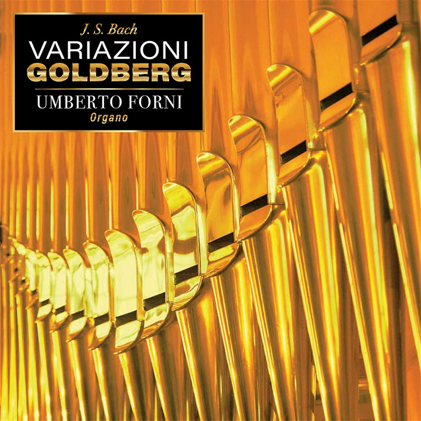 BACH: VARIAZIONI GOLDBERG