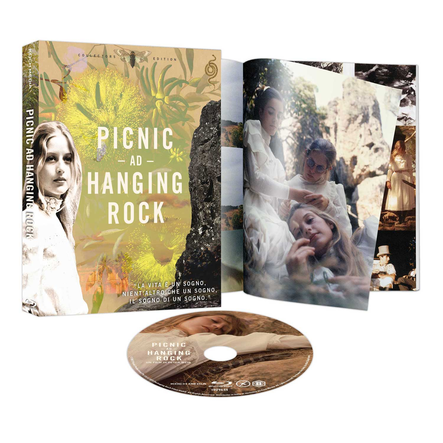 PICNIC AD HANGING ROCK