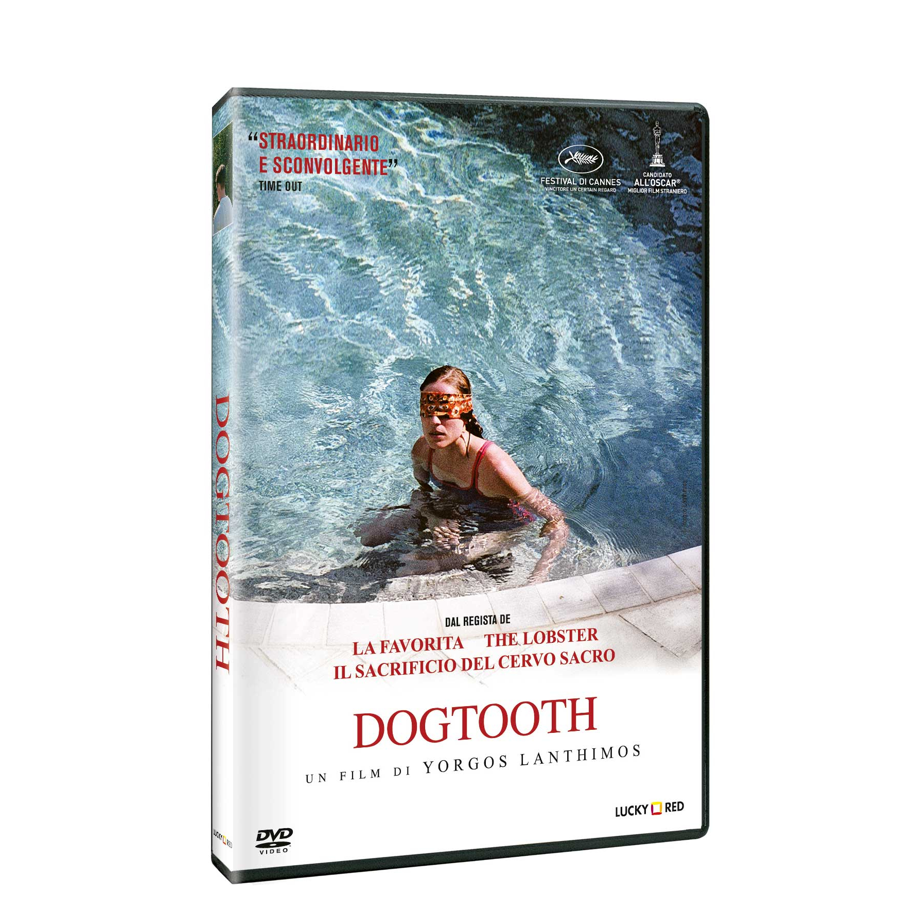 DOGTOOTH