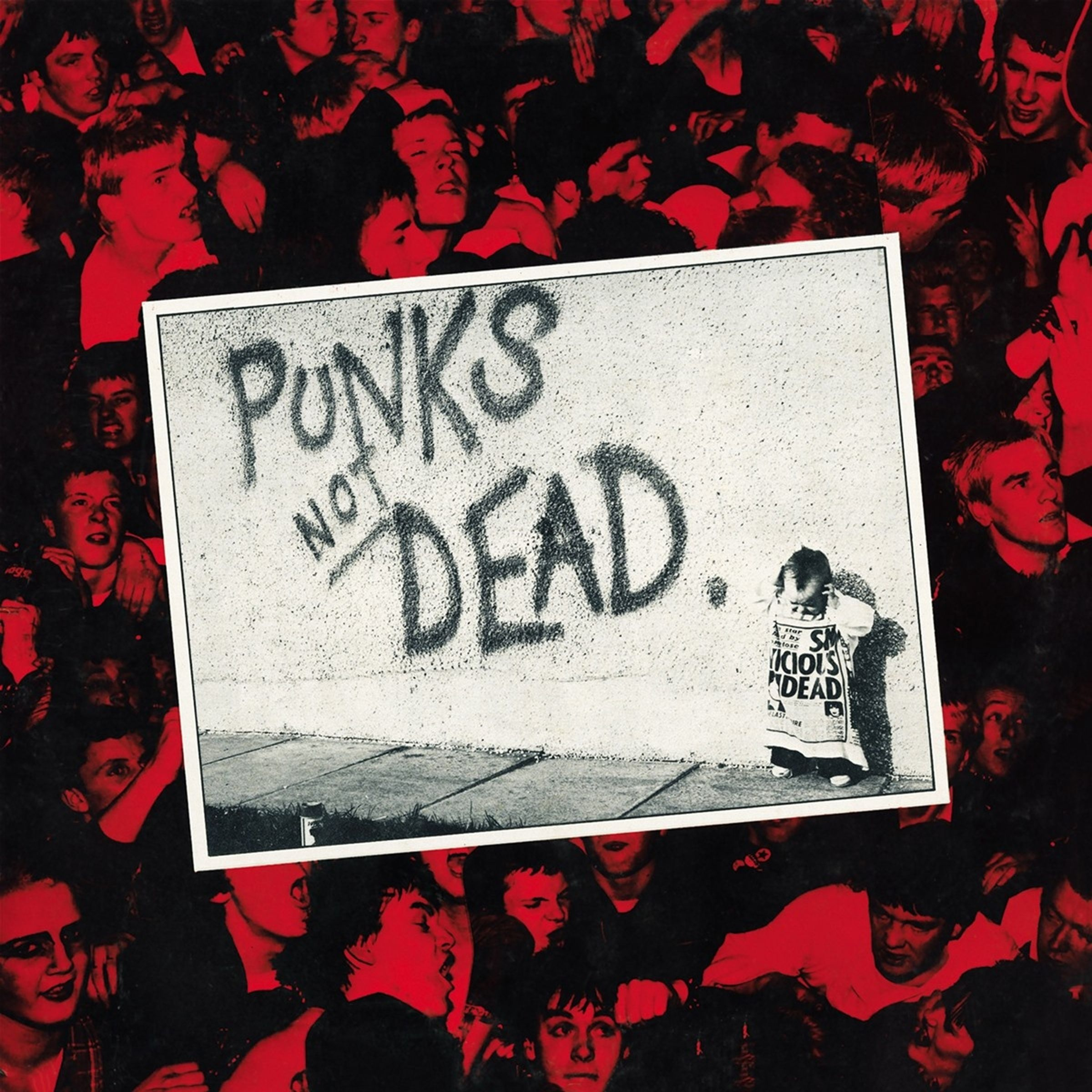 PUNKS NOT DEAD VINYL