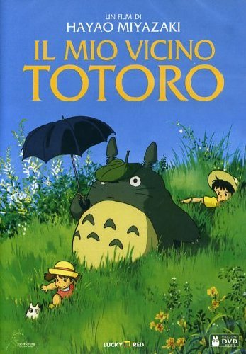 MIO VICINO TOTORO (IL)