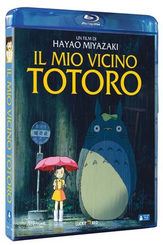 MIO VICINO TOTORO (IL)