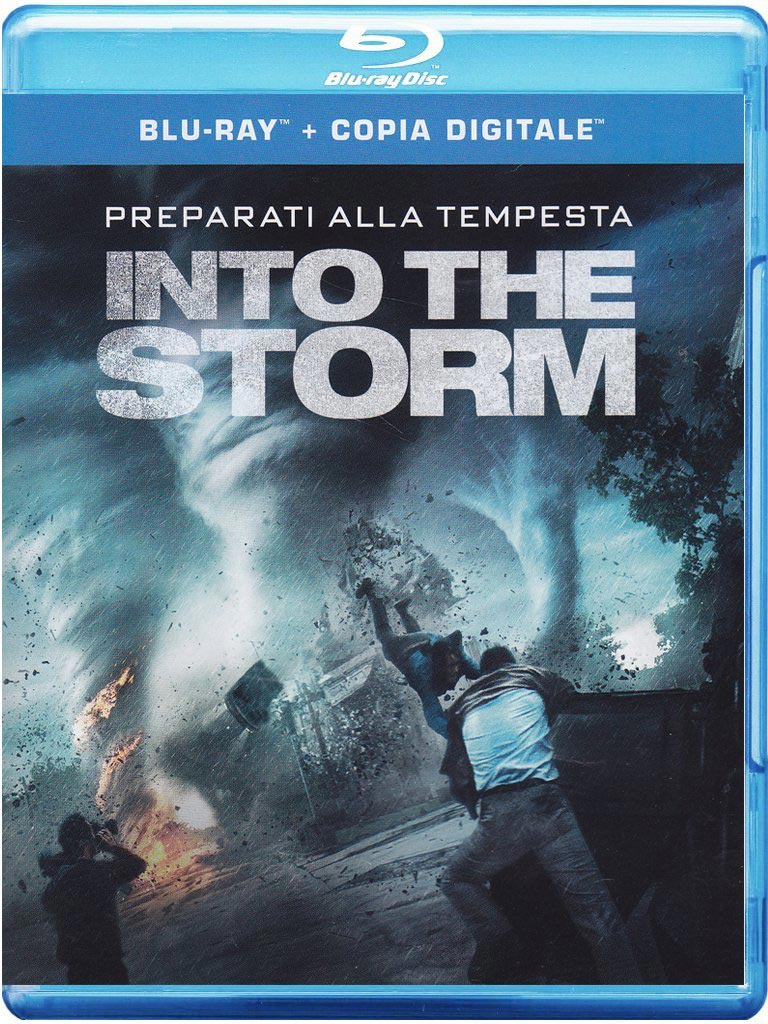 INTO THE STORM