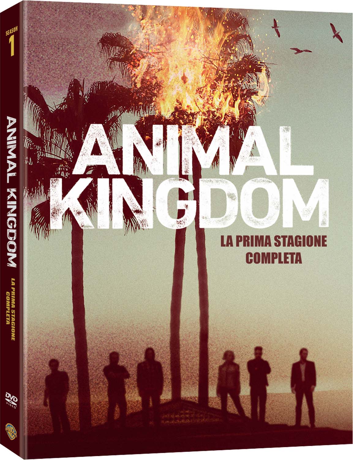 ANIMAL KINGDOM - STAGIONE 01 (3 DVD)