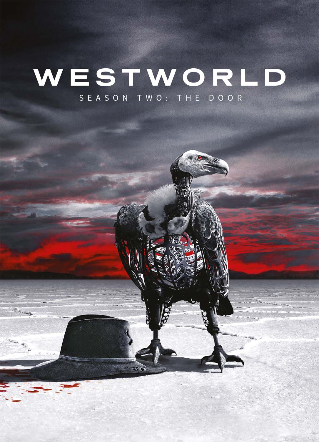 WESTWORLD - STAGIONE 02 (3 DVD)