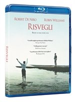 RISVEGLI