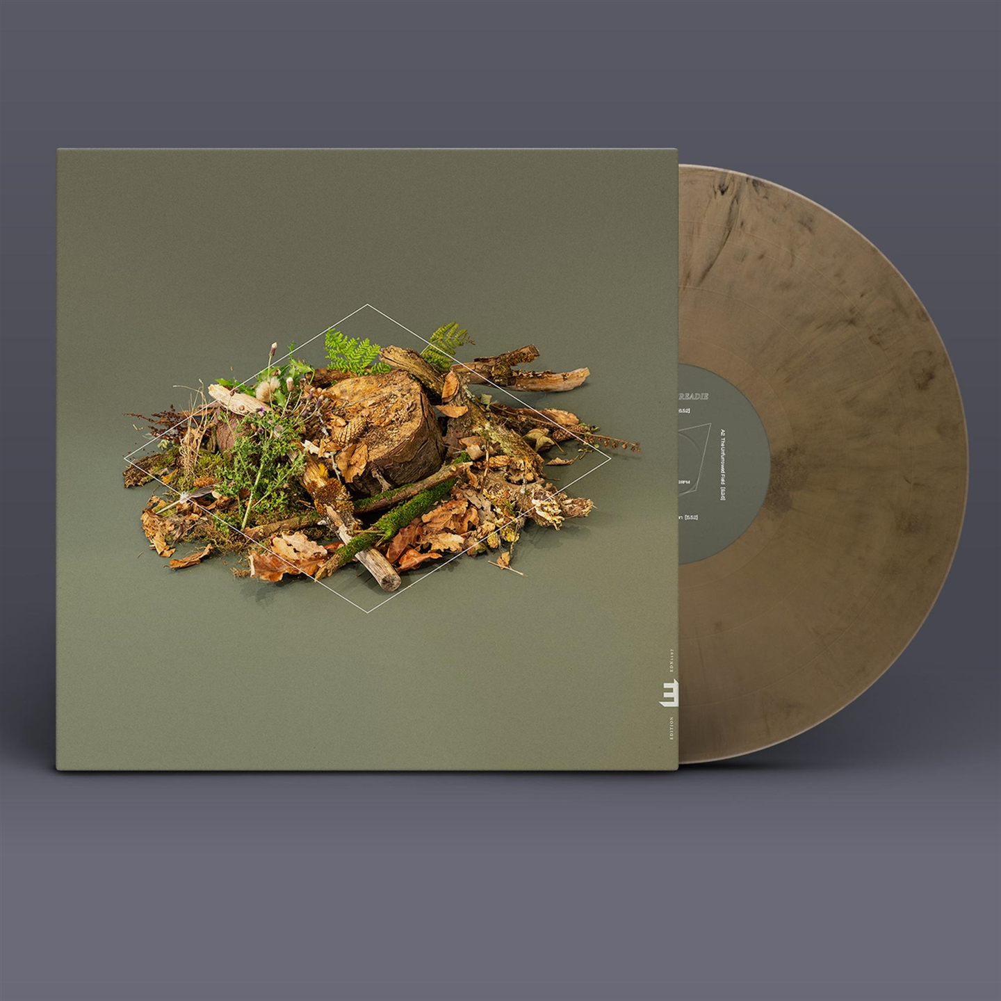 FOREST FLOOR [LP]