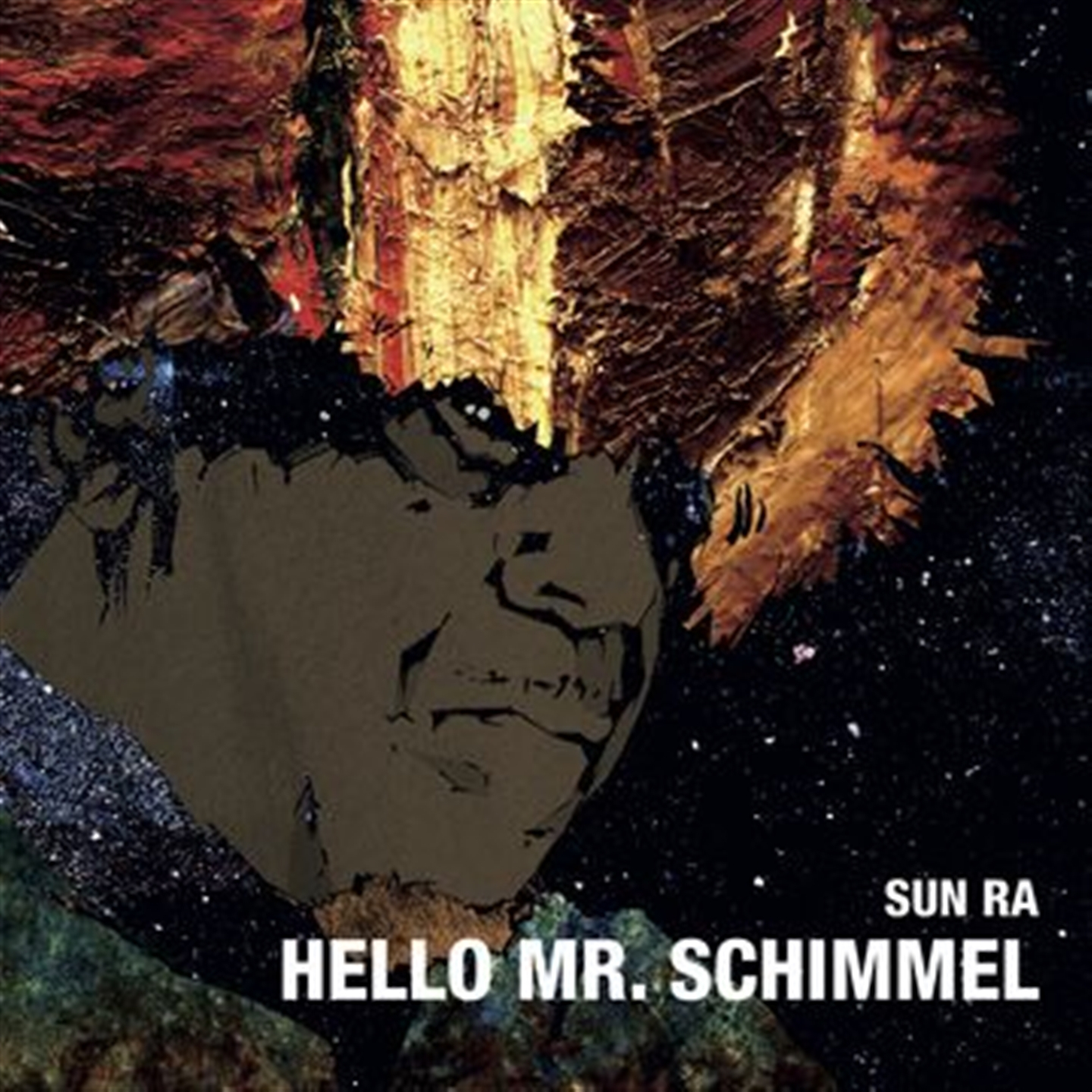 HELLO MR SCHIMMEL  [7'' VINYL]
