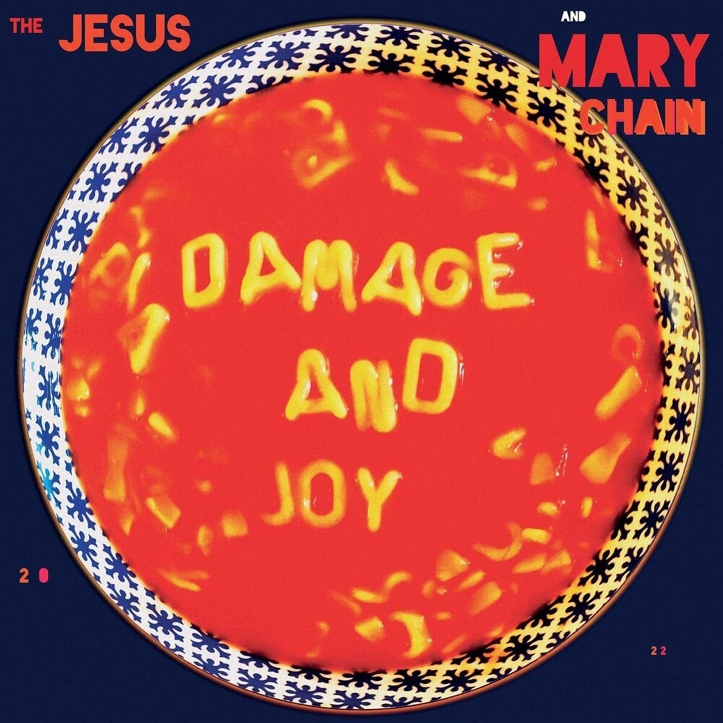 DAMAGE AND JOY