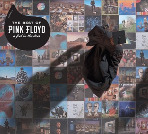 THE BEST OF PINK FLOYD: A FOOT IN THE DO