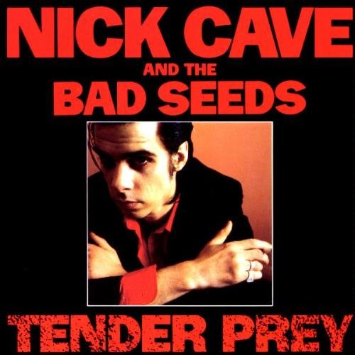 TENDER PREY-180GR