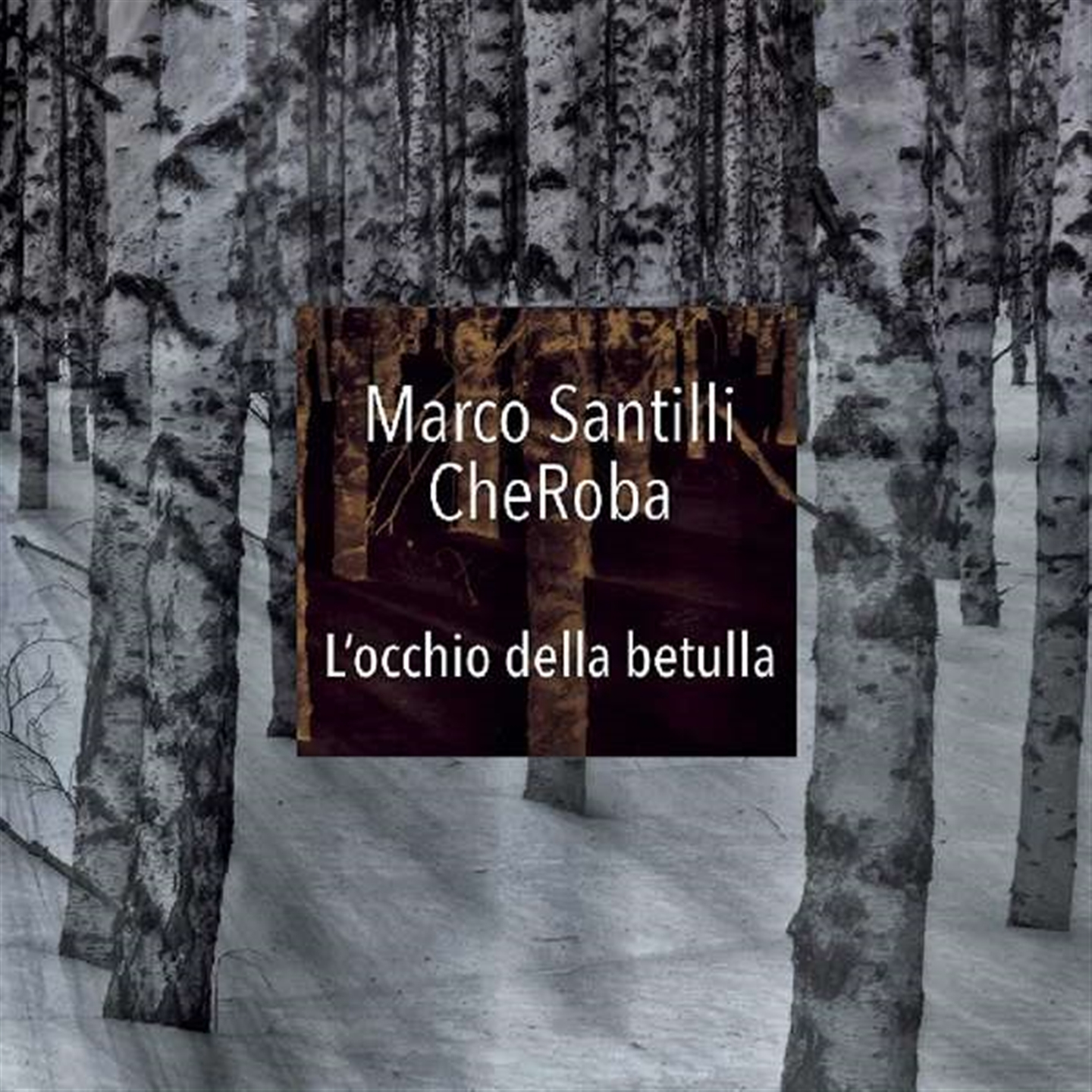 L'OCCHIO DELLA BETULLA