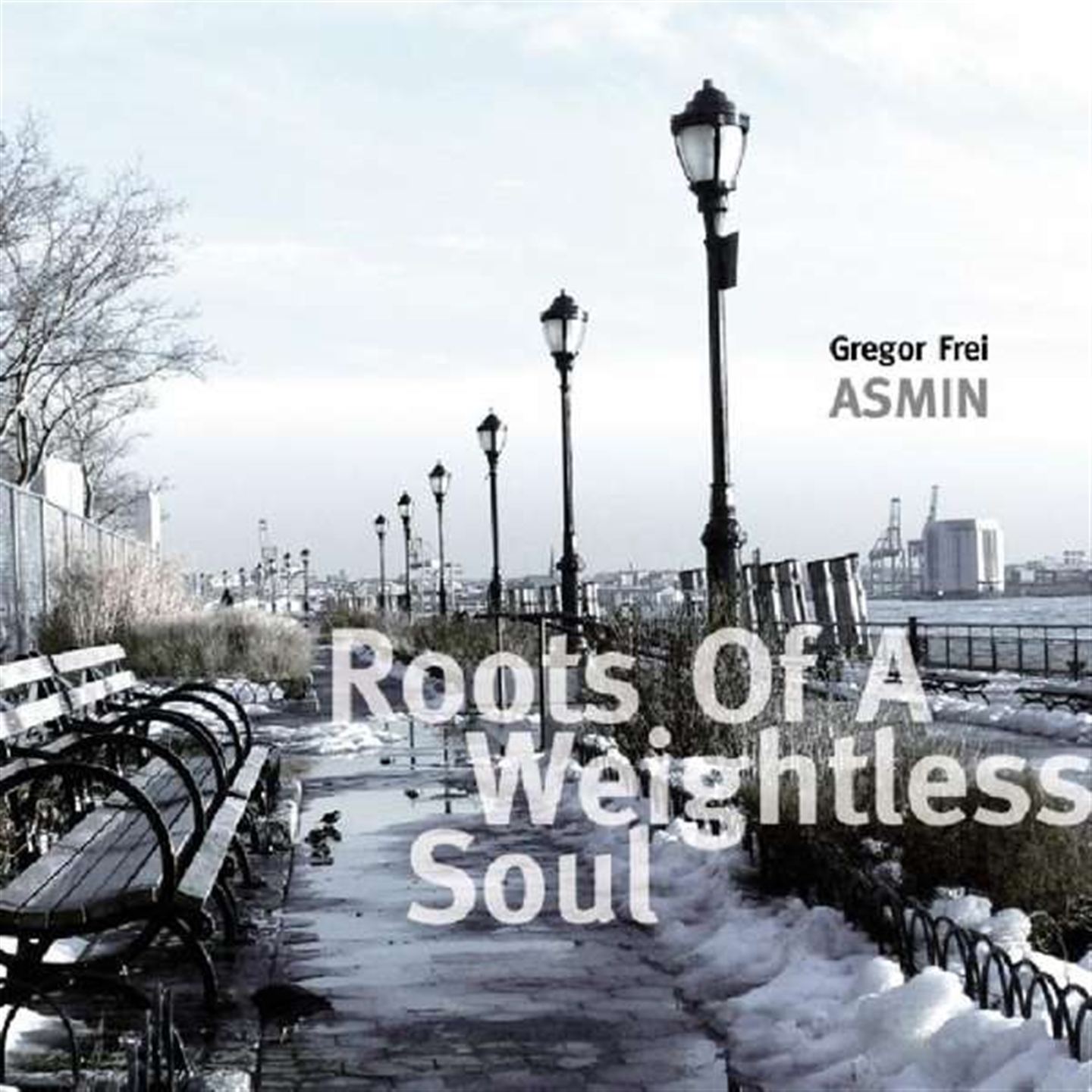 ROOTS OF A WEIGHTLESS SOUL