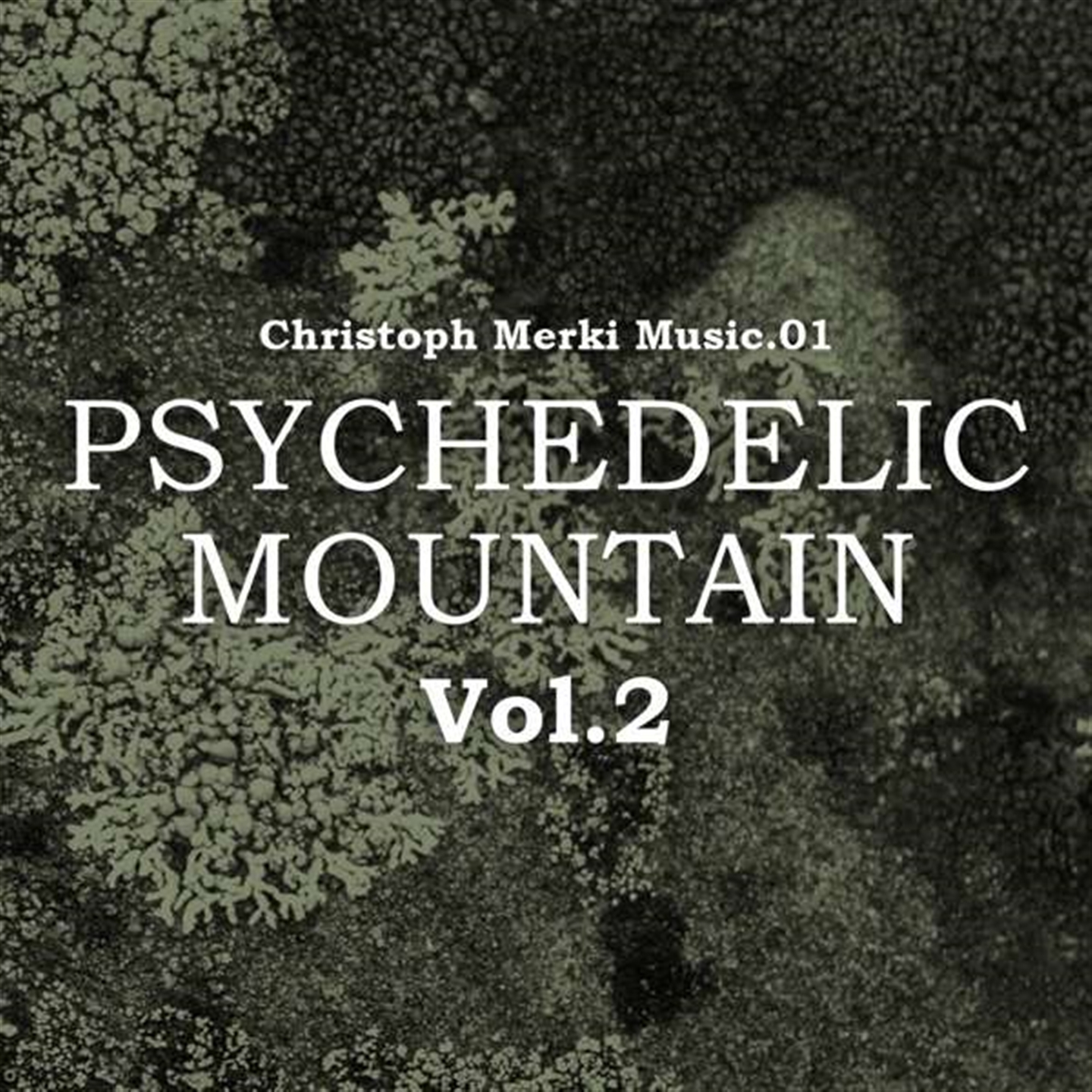 PSYCHEDELIC MOUNTAIN VOL.2