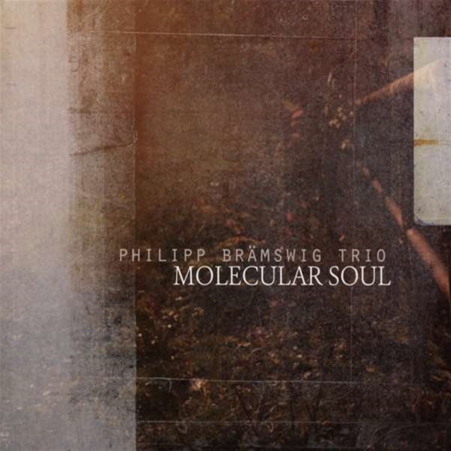 MOLECULAR SOUL