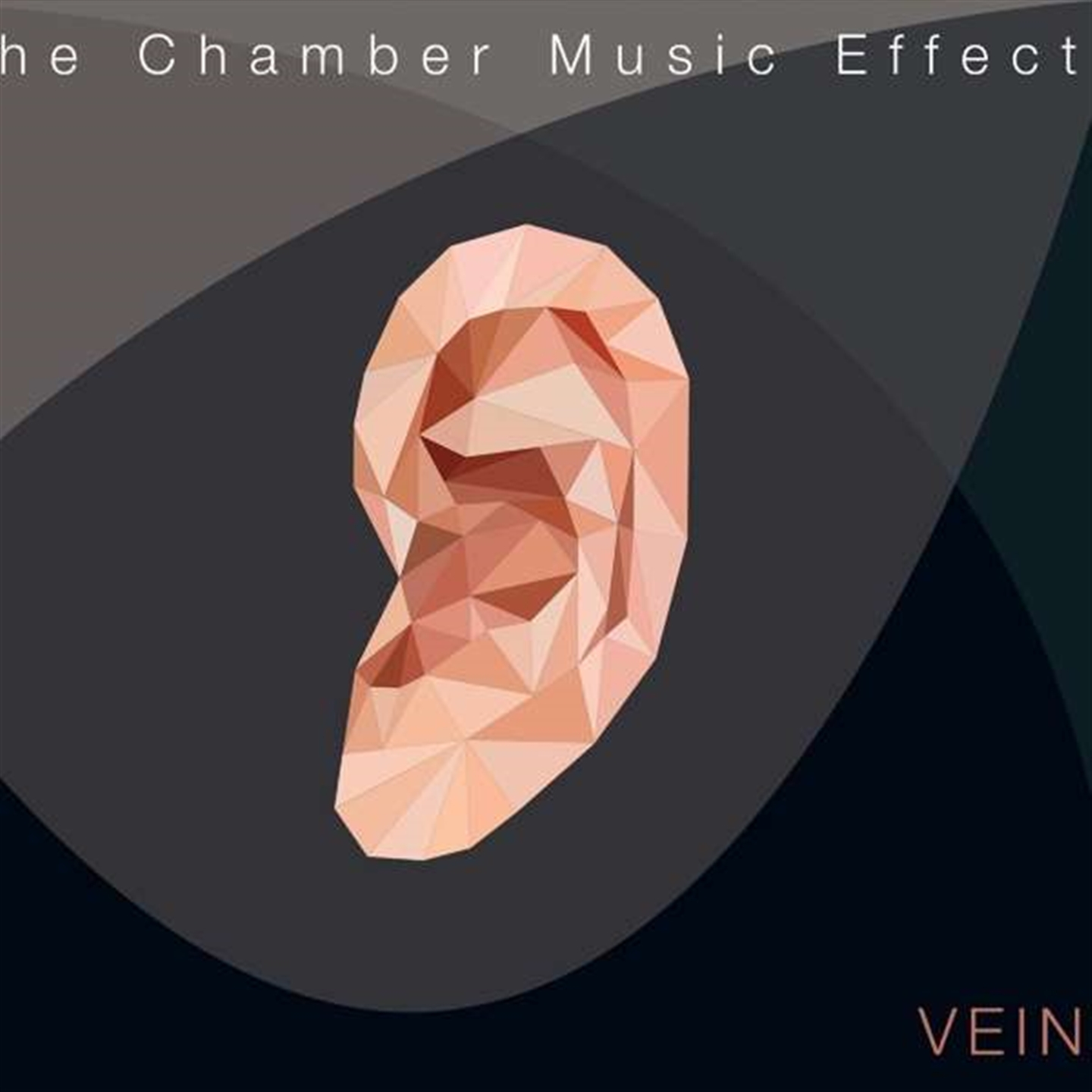 THE CHAMBER MUSIC EFFECT