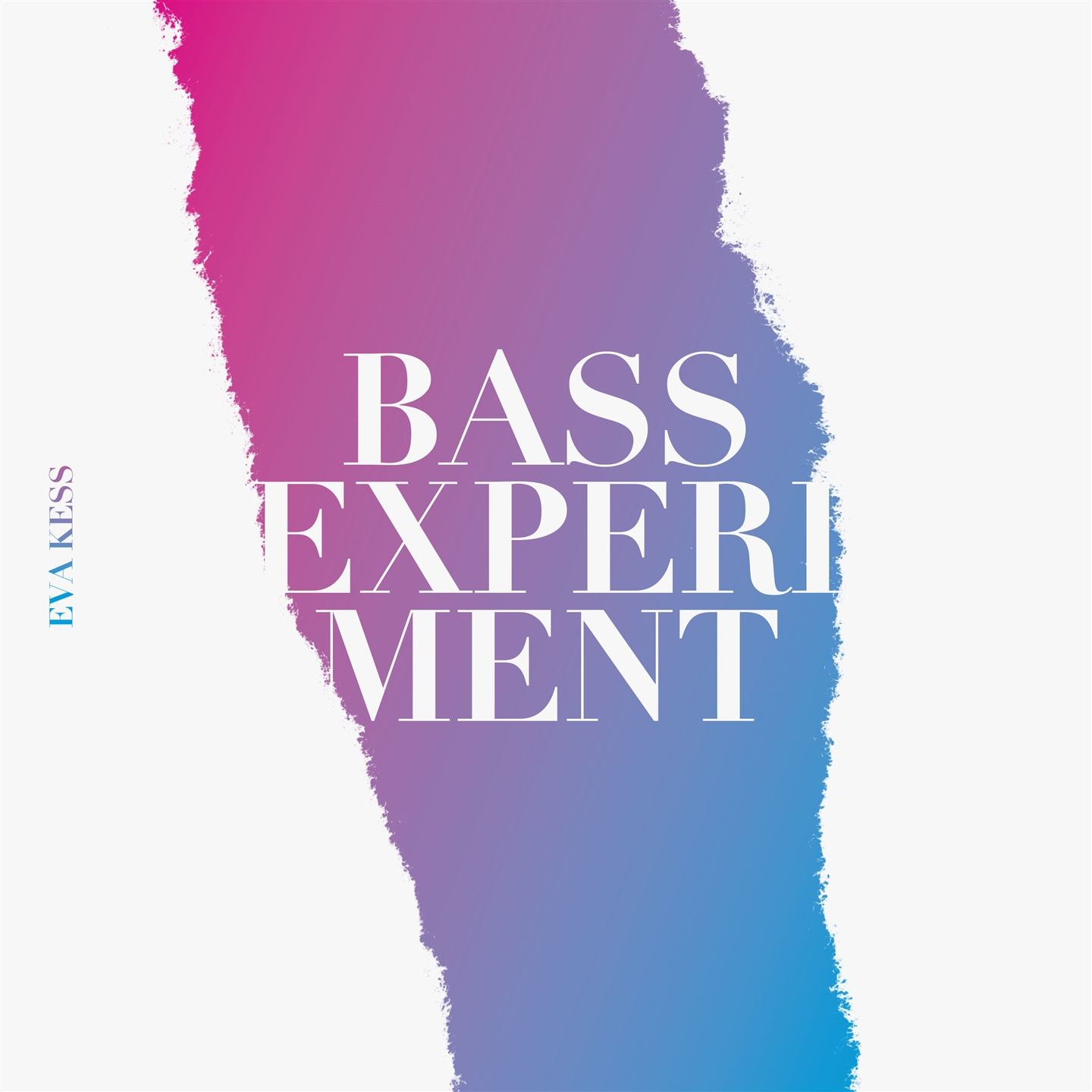 BASSEXPERIMENT