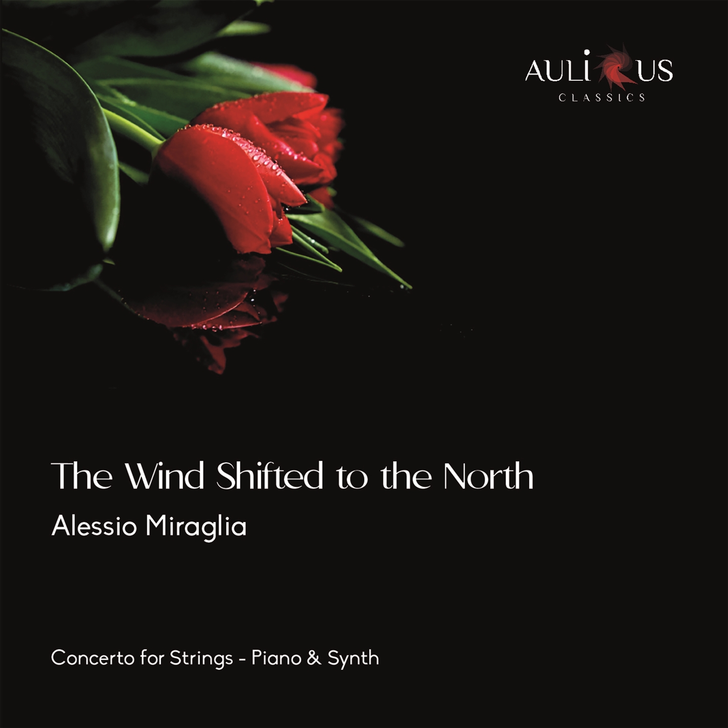 THE WIND SHIFTED TO THE NORTH - CONCERTO FOR STRINGS, PIANO & SYNTH