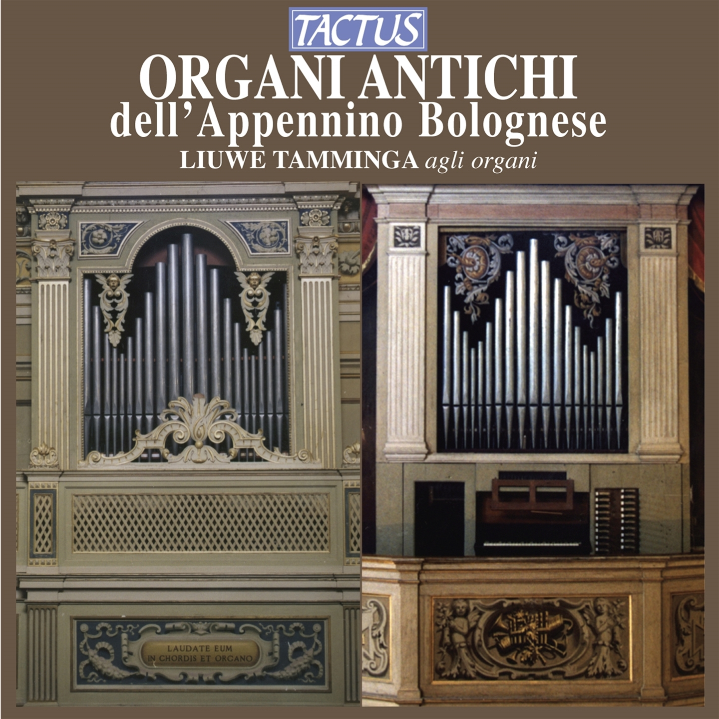 ORGANI ANTICHI