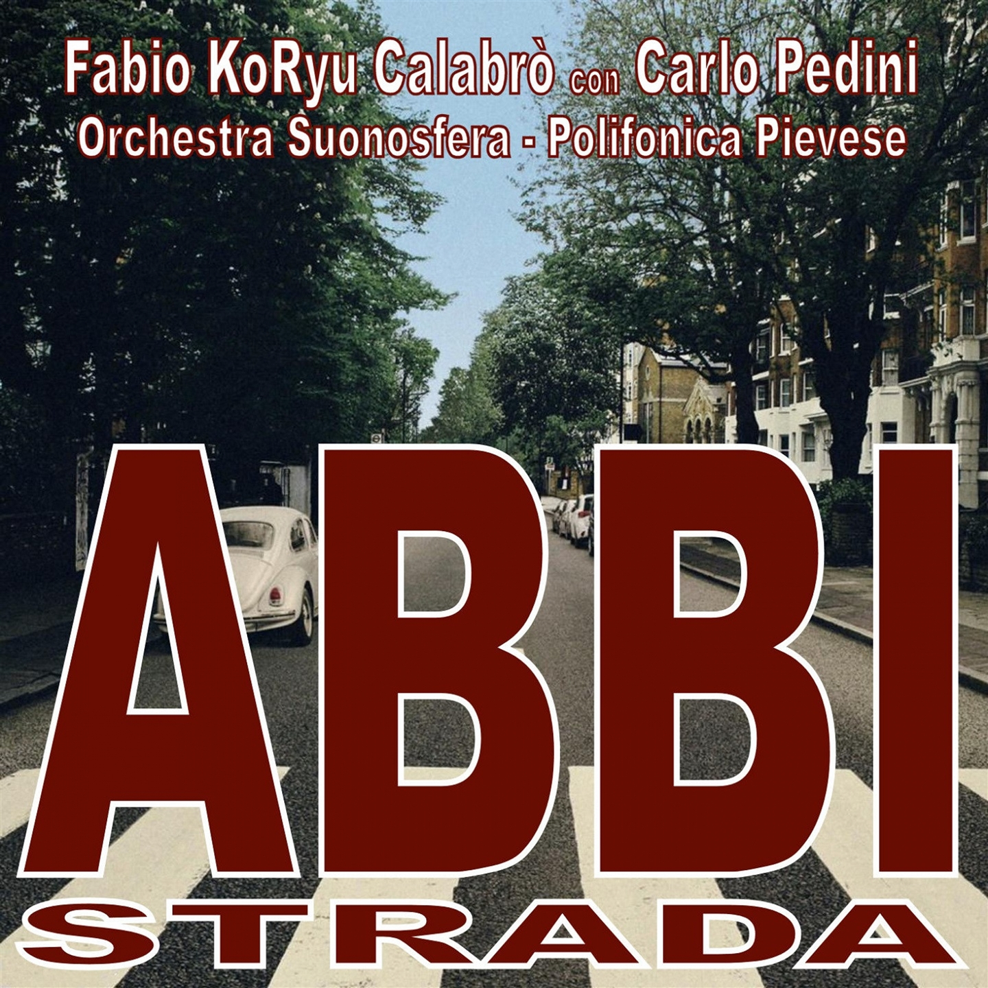 ABBI STRADA [LP]