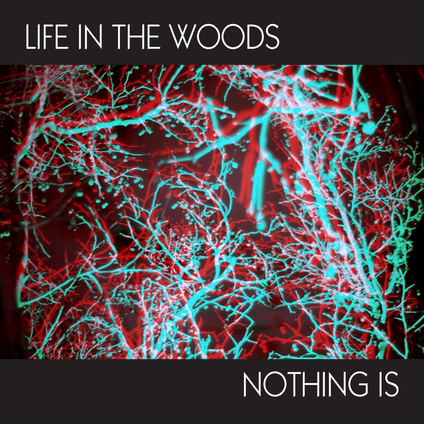 NOTHING IS [LTD.ED. 7'' SINGLE]