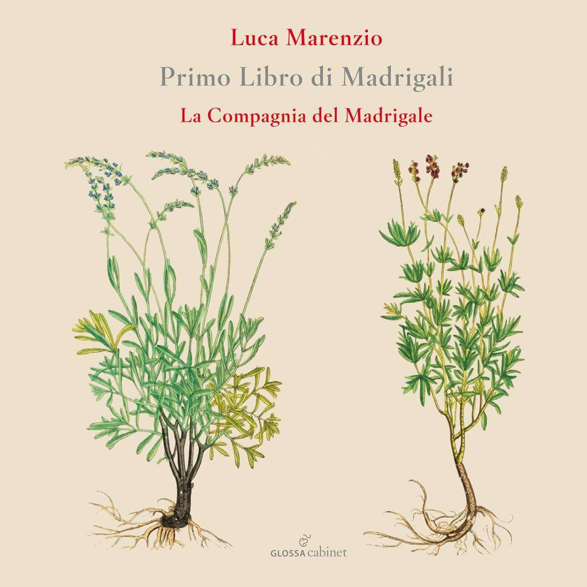 LUCA MARENZIO: FIRST BOOK OF MADRIGALS (1580)