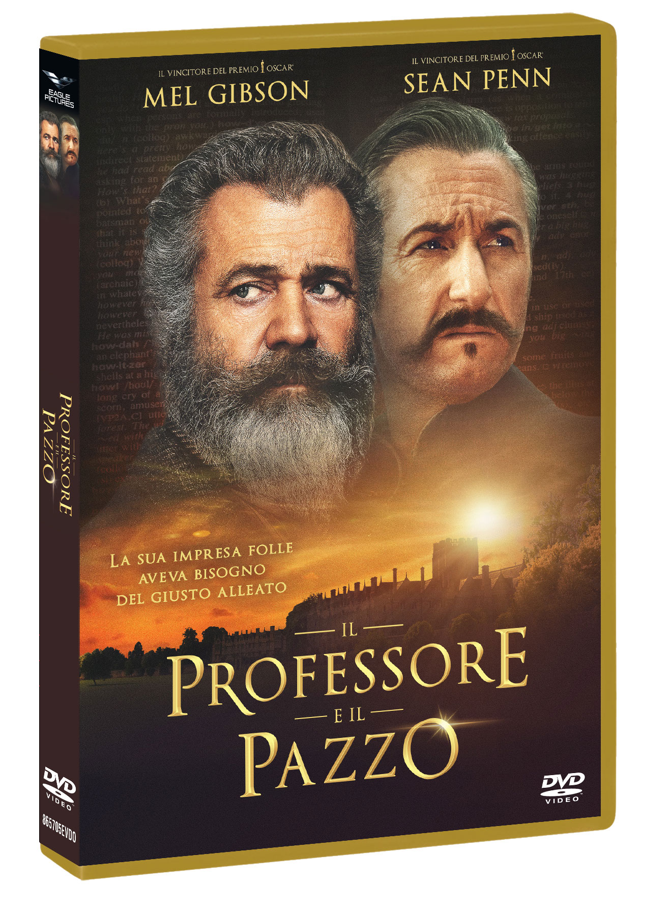 PROFESSORE E IL PAZZO (IL)