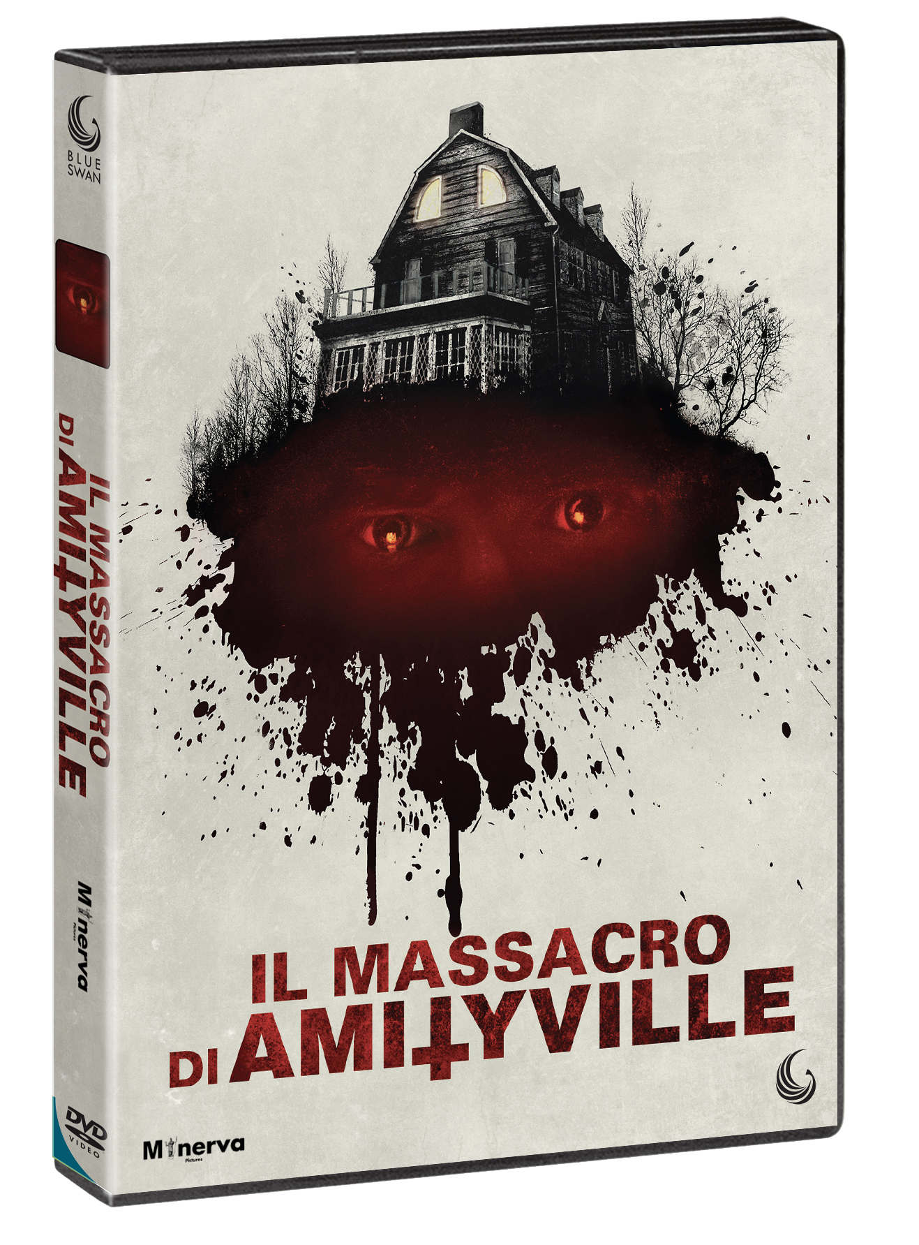 MASSACRO DI AMITYVILLE (IL)