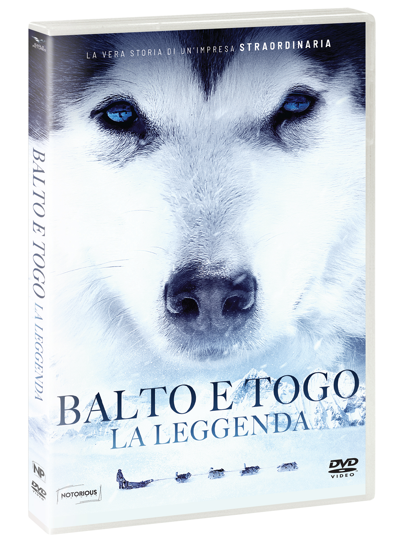 BALTO E TOGO - LA LEGGENDA