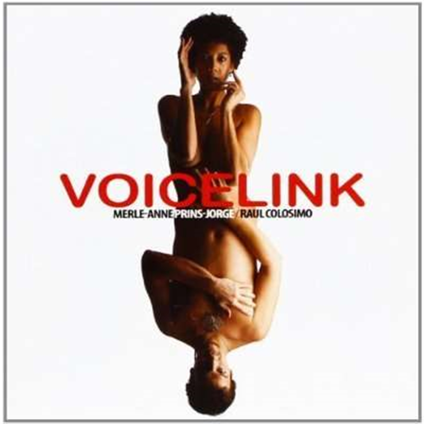 VOICELINK