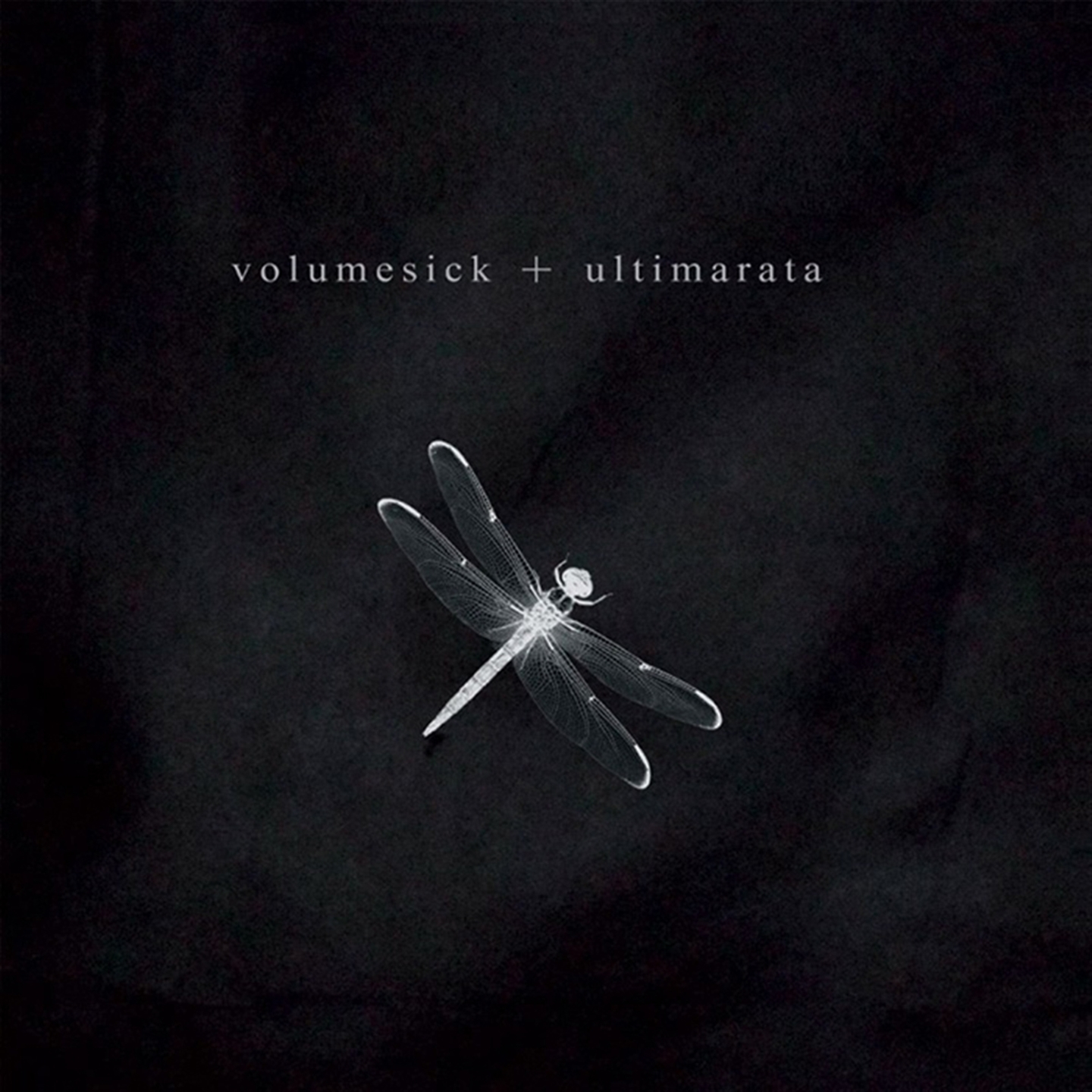 VOLUMESICK + ULTIMARATA