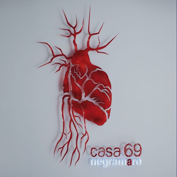 CASA 69