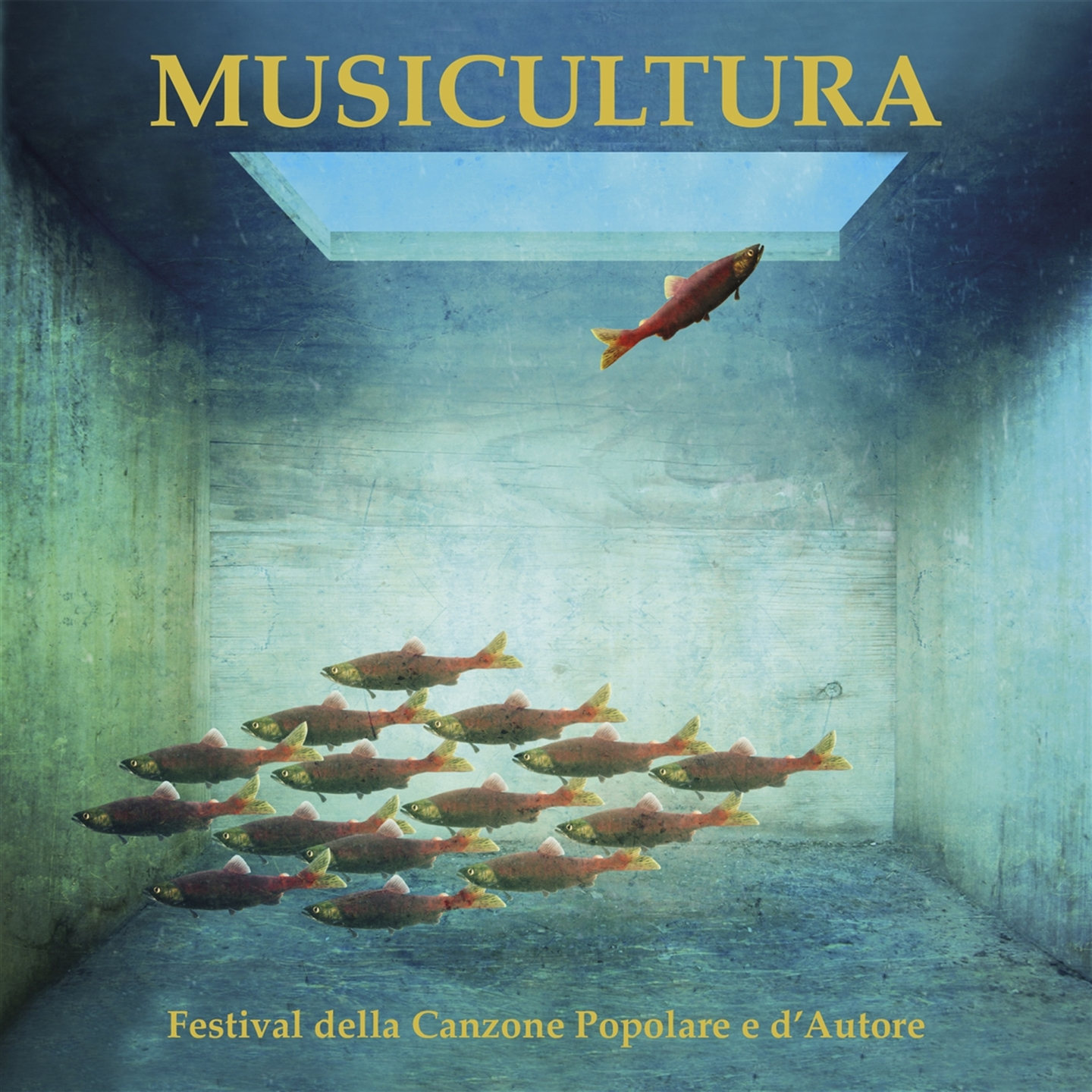 MUSICULTURA 2017